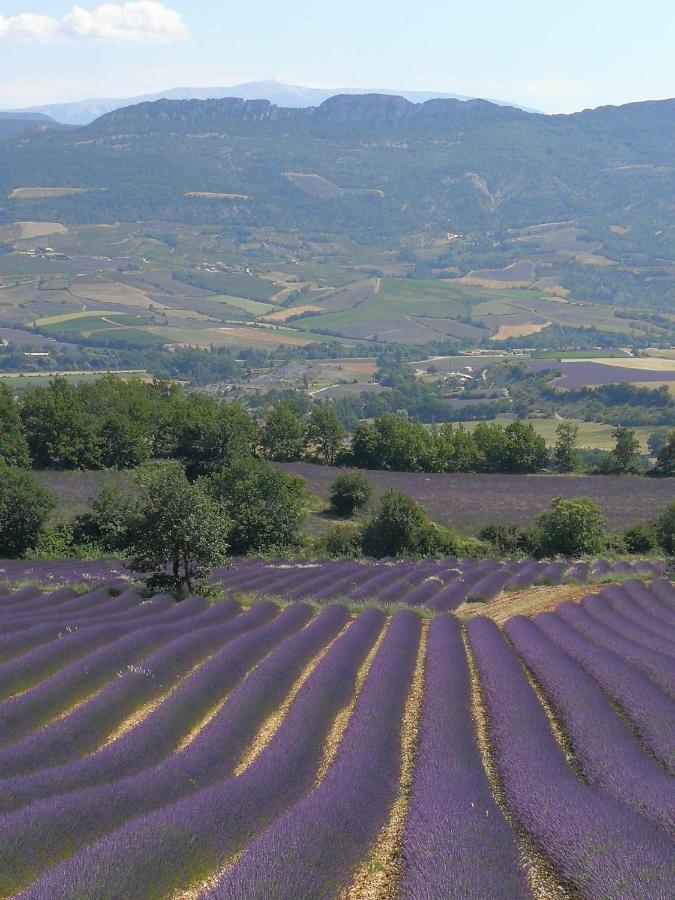 Отель Mas En Baronnies Provencales Eygaliers  Экстерьер фото