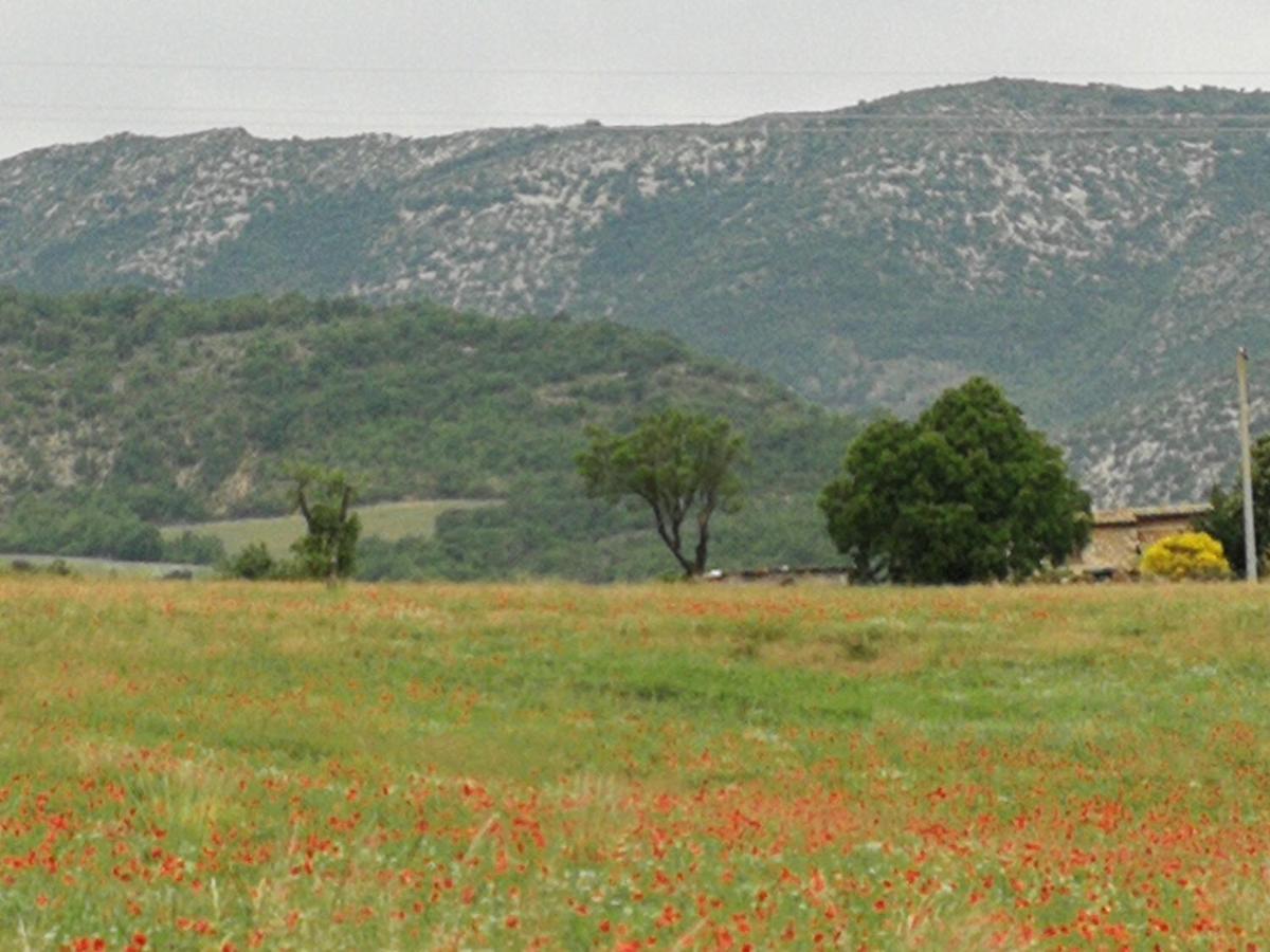 Отель Mas En Baronnies Provencales Eygaliers  Экстерьер фото